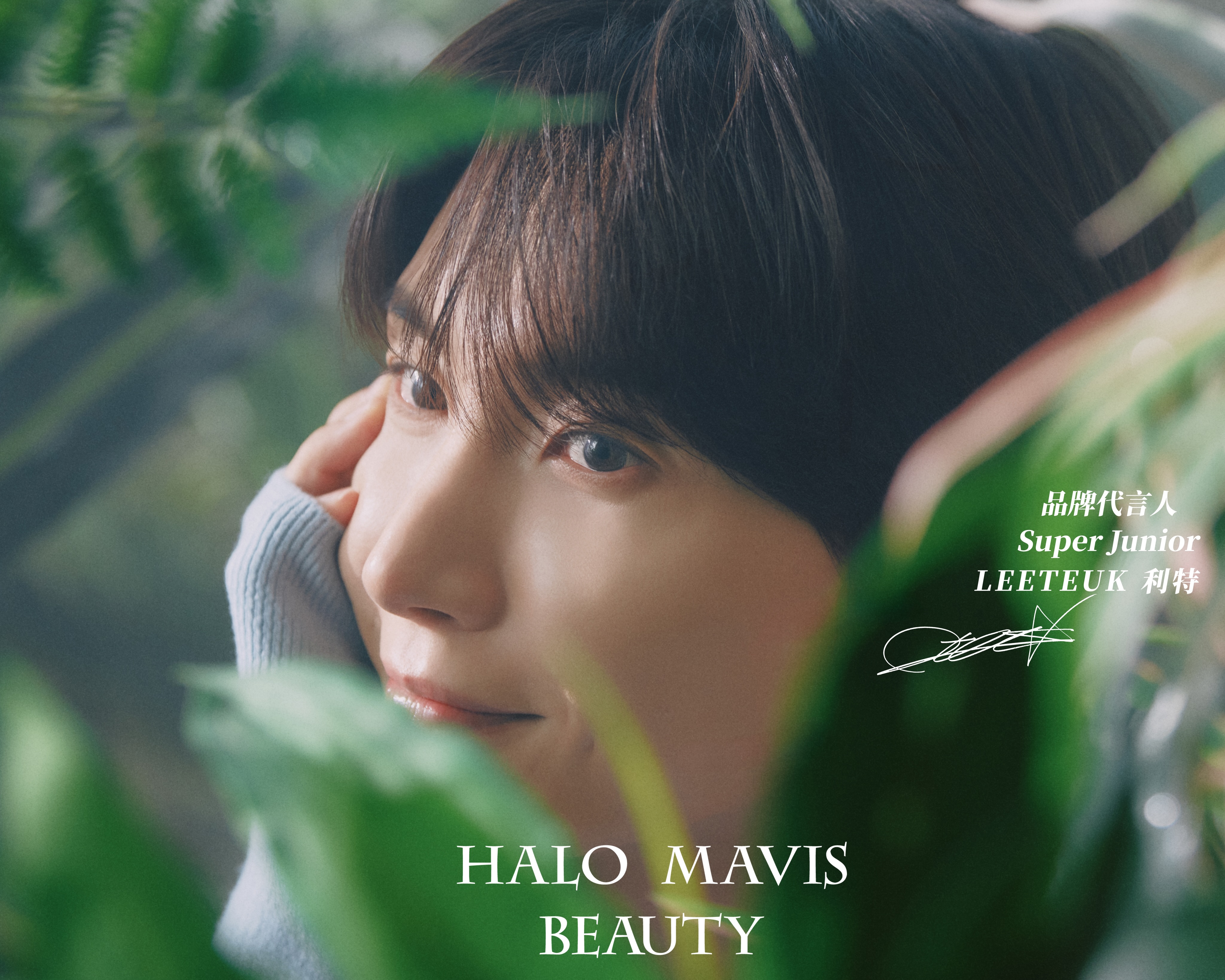 HALO MAVIS BEAUTY